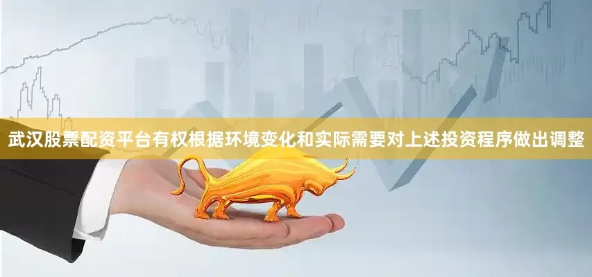 武汉股票配资平台有权根据环境变化和实际需要对上述投资程序做出调整