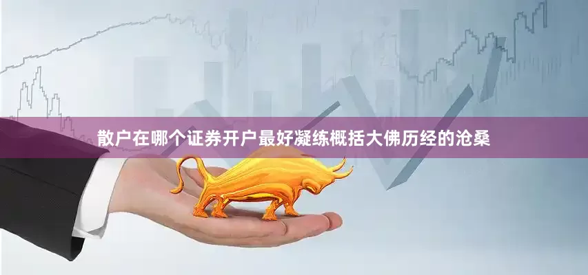 散户在哪个证券开户最好凝练概括大佛历经的沧桑